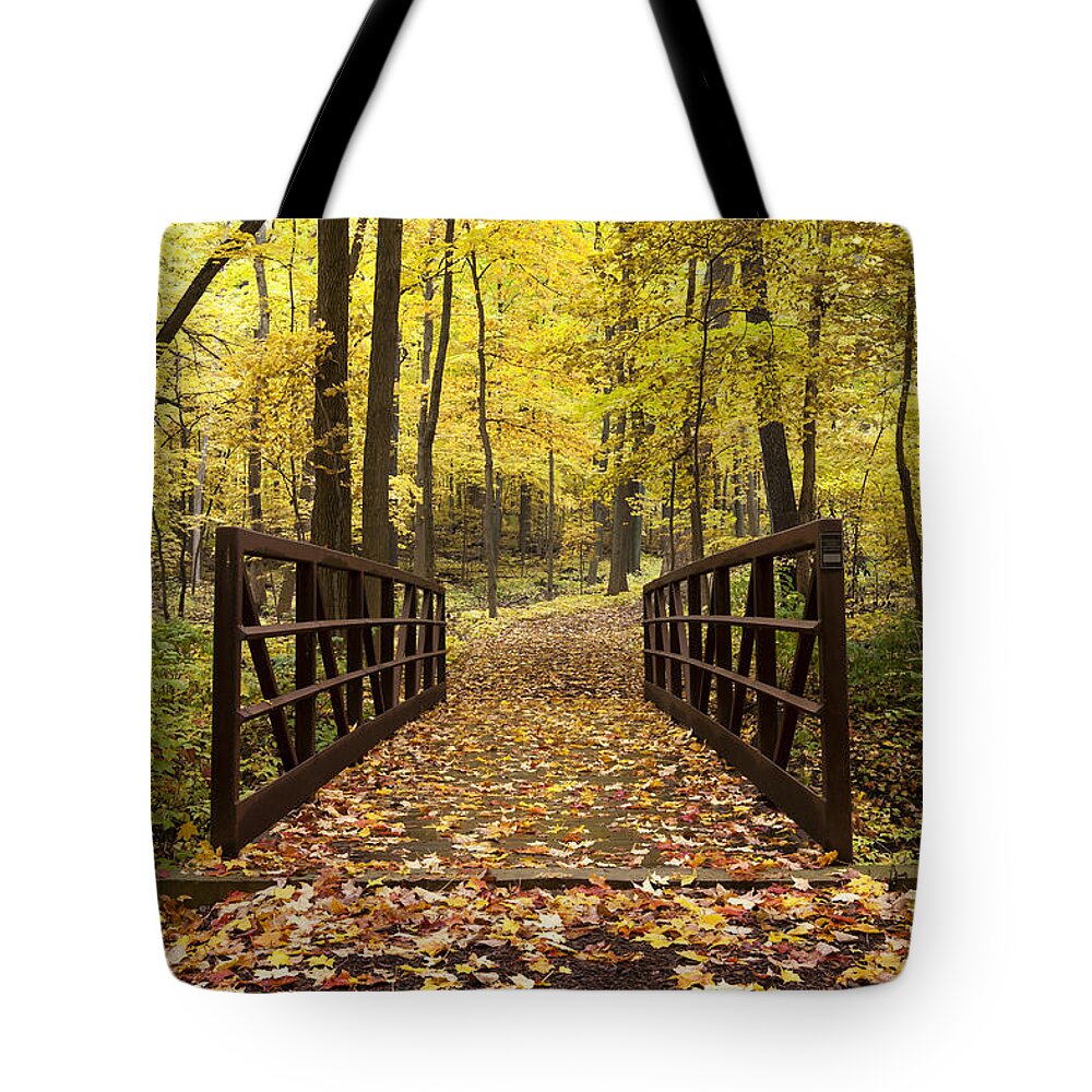 Autumn Trees Tote Bag featuring the photograph Colors of Fall by Patty Colabuono