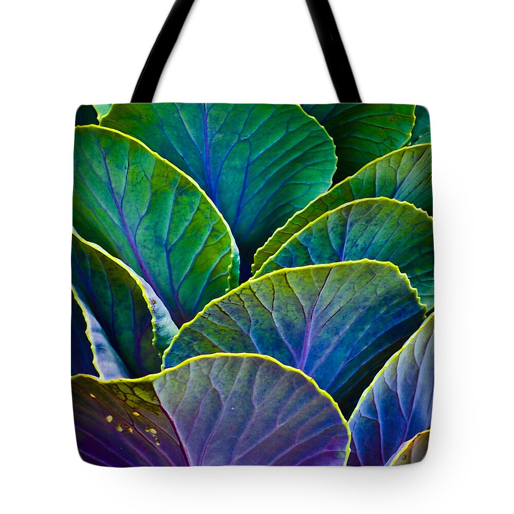 Organic Tote Bag featuring the photograph Colors of the Cabbage Patch by Christi Kraft