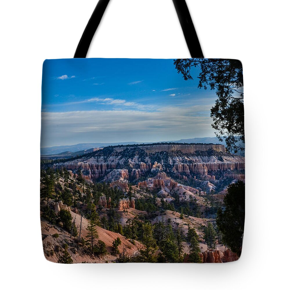 Brown Tote Bag featuring the photograph Colors of time by Rich Priest