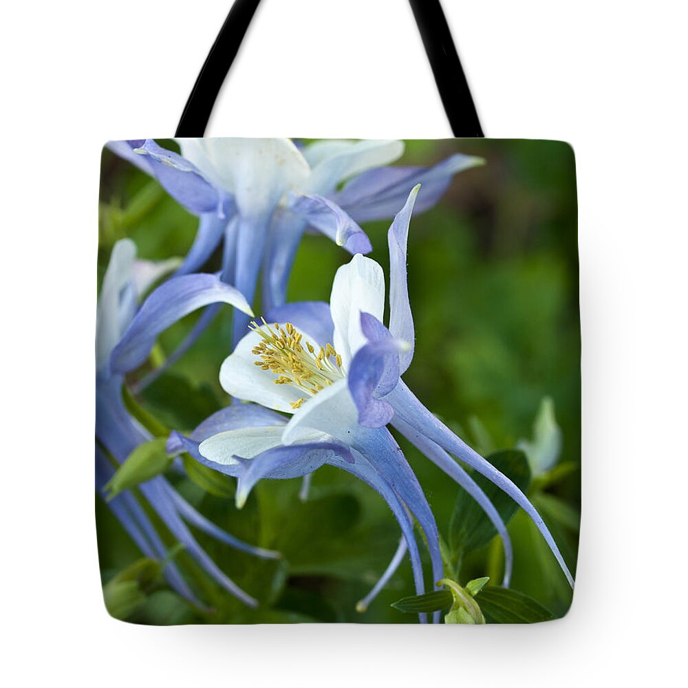 Origami Tote Bag featuring the photograph Columbine-2 by Charles Hite