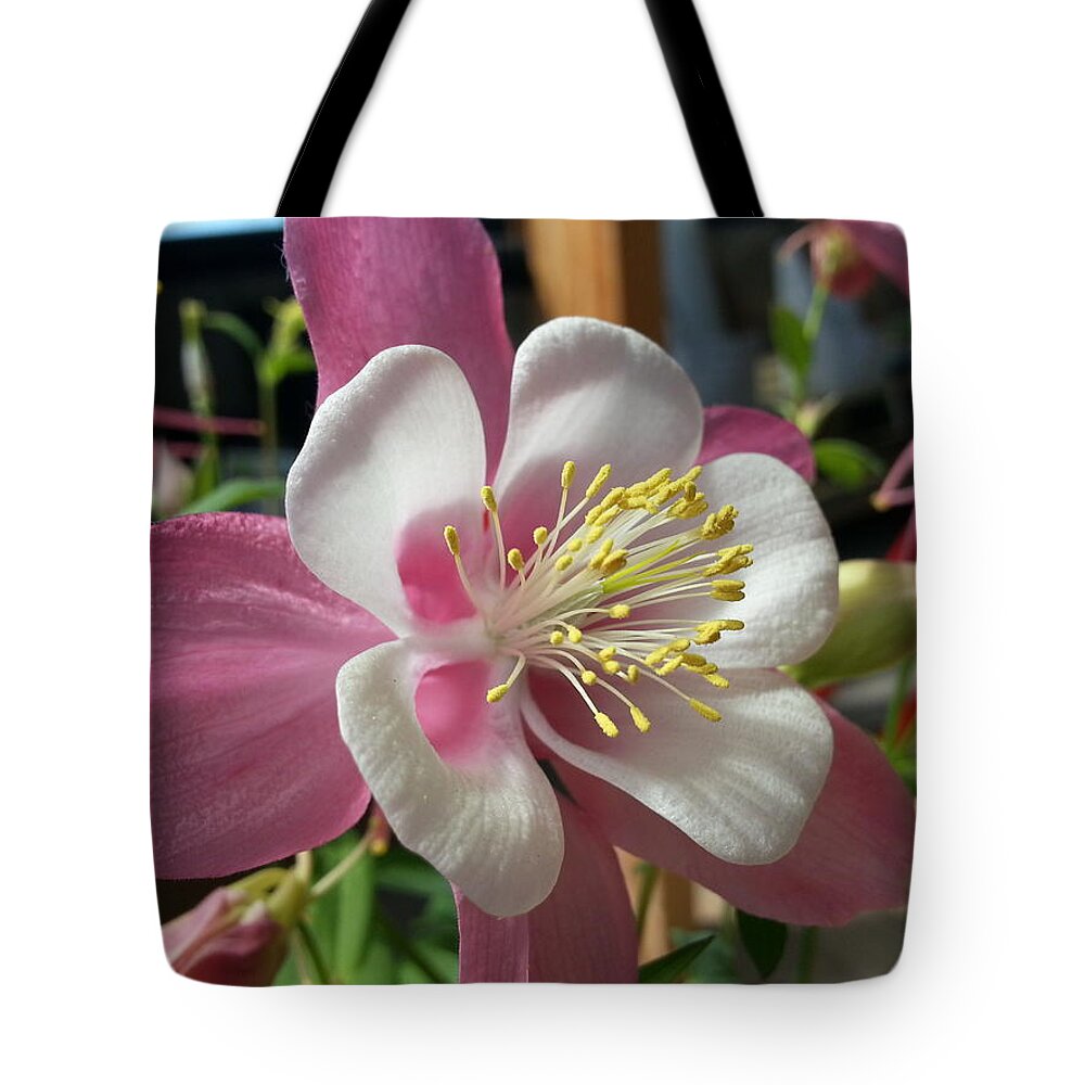 Rose Tote Bag featuring the photograph Columbine by Caryl J Bohn