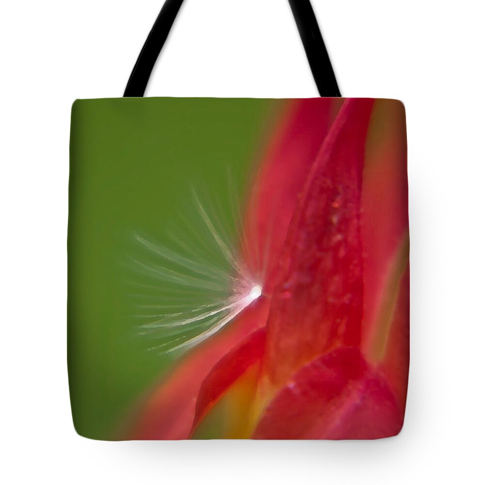 Flowers Tote Bag featuring the photograph Columbine Fairy by Brenda Jacobs