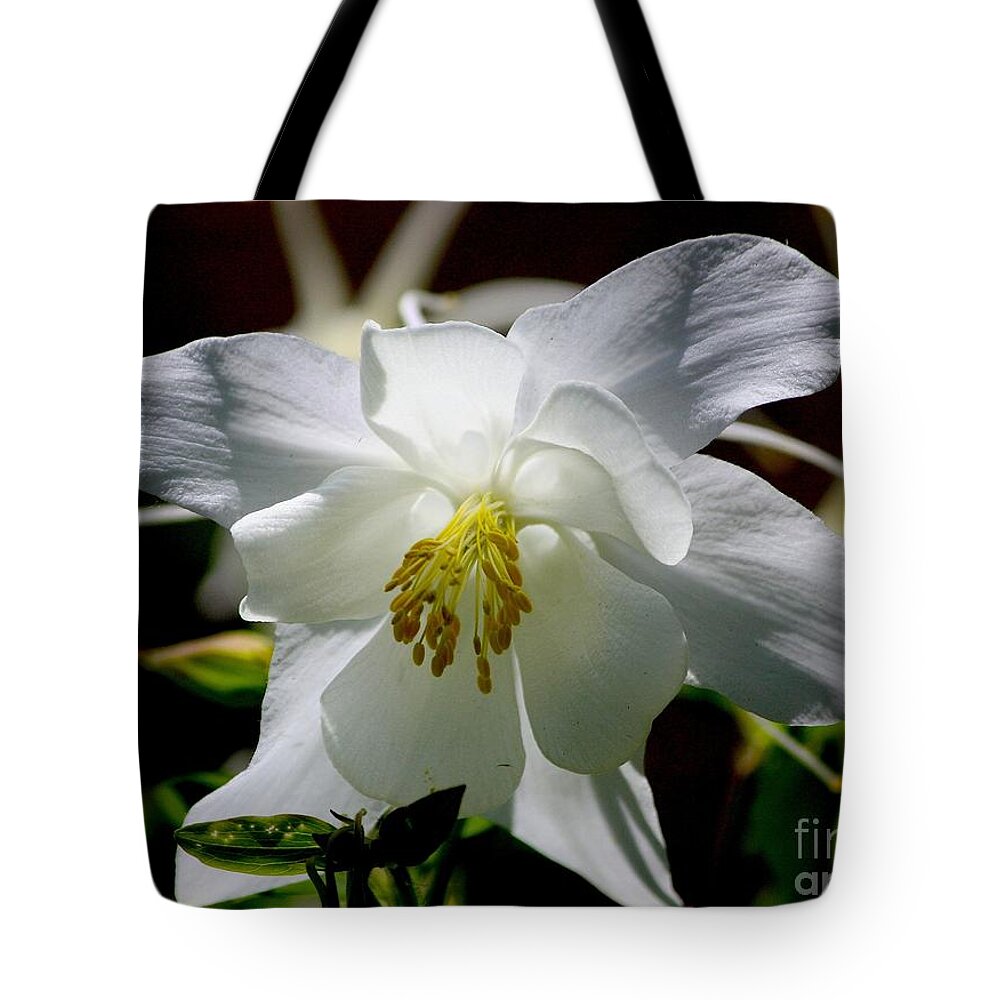 Columbine Tote Bag featuring the photograph Columbine by Veronica Batterson