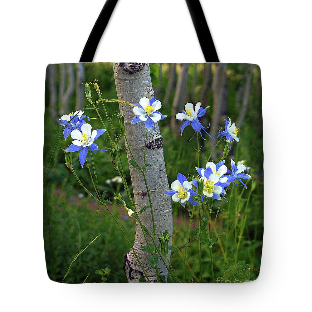 Tree Tote Bag featuring the photograph ColumBouquet by Kelly Black