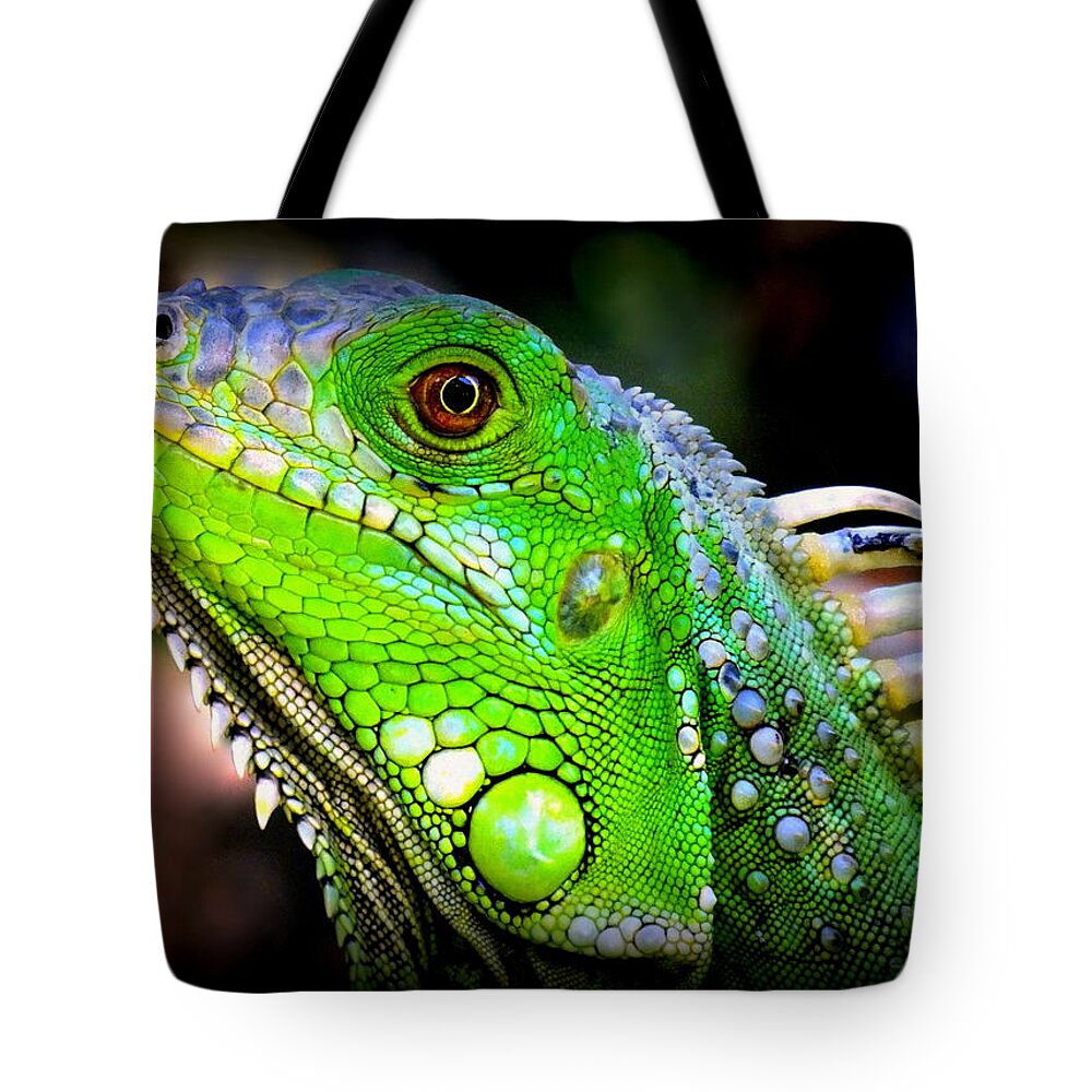 Iguanas Tote Bag featuring the photograph Come A Little Closer by Karen Wiles