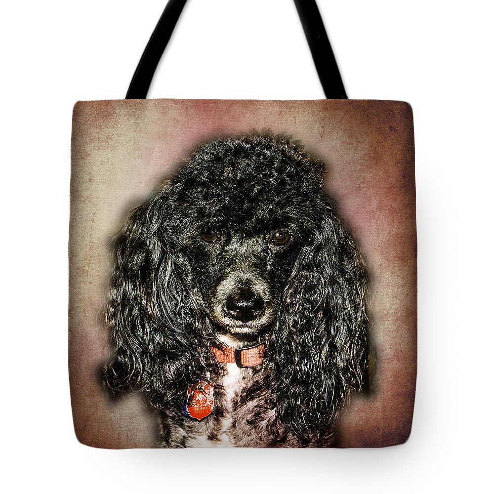 Coal Tote Bag featuring the photograph Come on Make my Day by Judy Hall-Folde