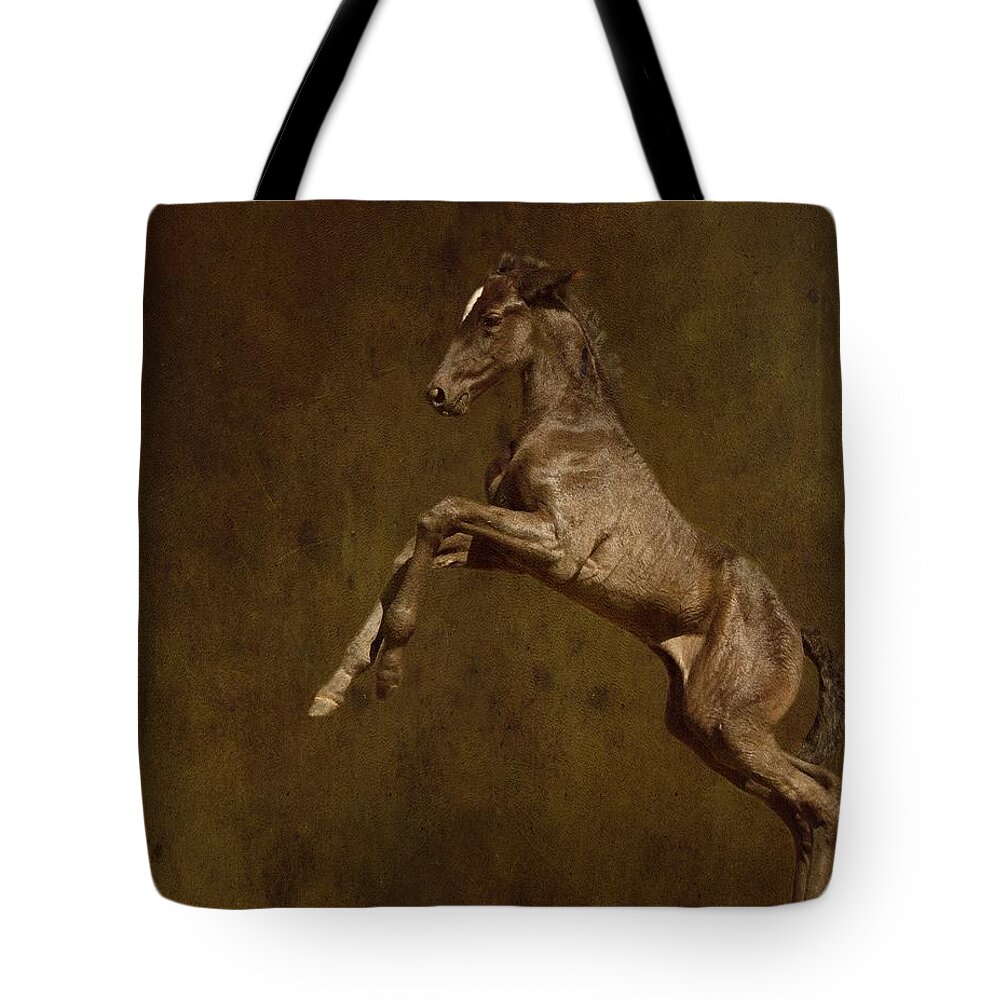 Animal Tote Bag featuring the photograph Come Play With Me by Davandra Cribbie