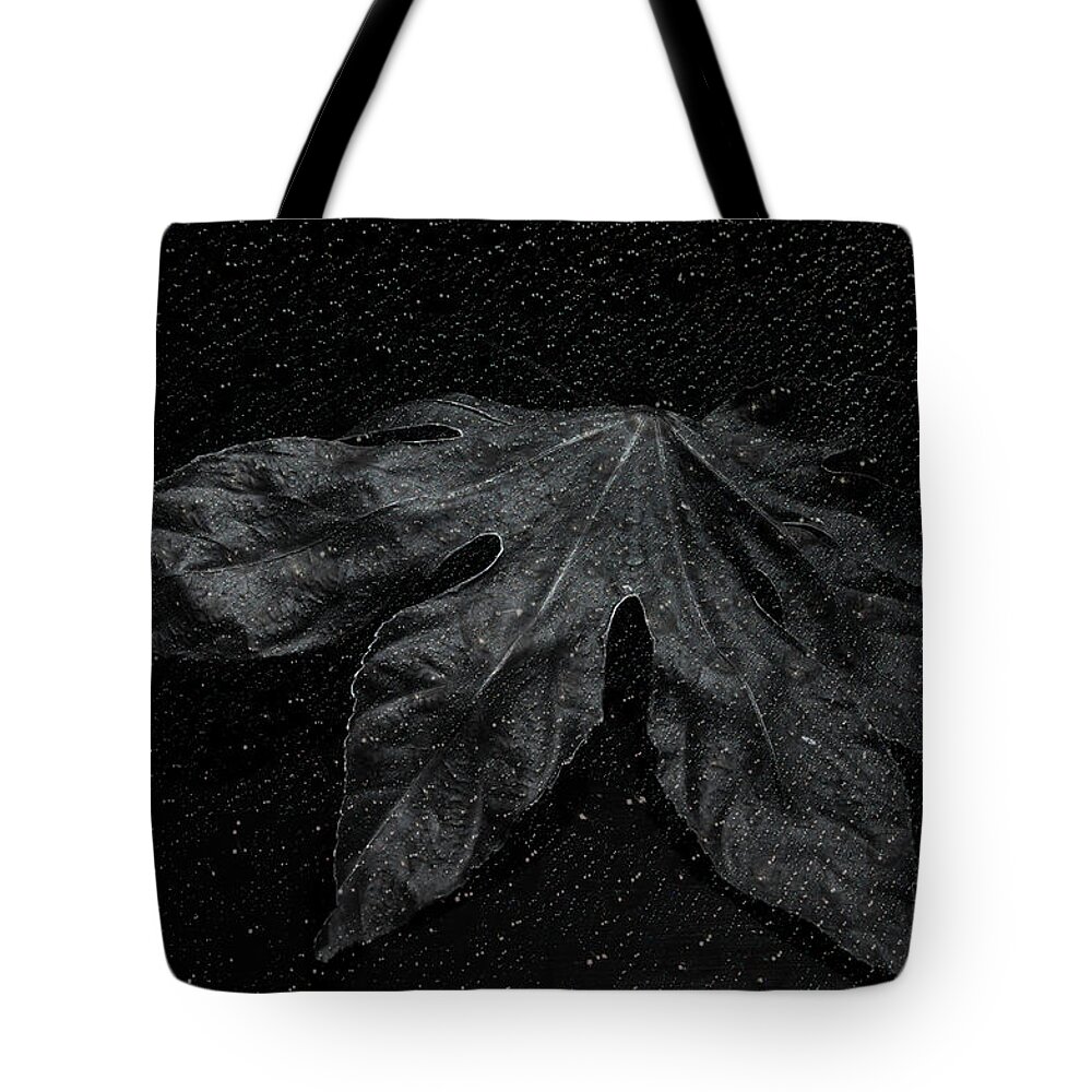Plant Tote Bag featuring the photograph Coming Forward by Randi Grace Nilsberg