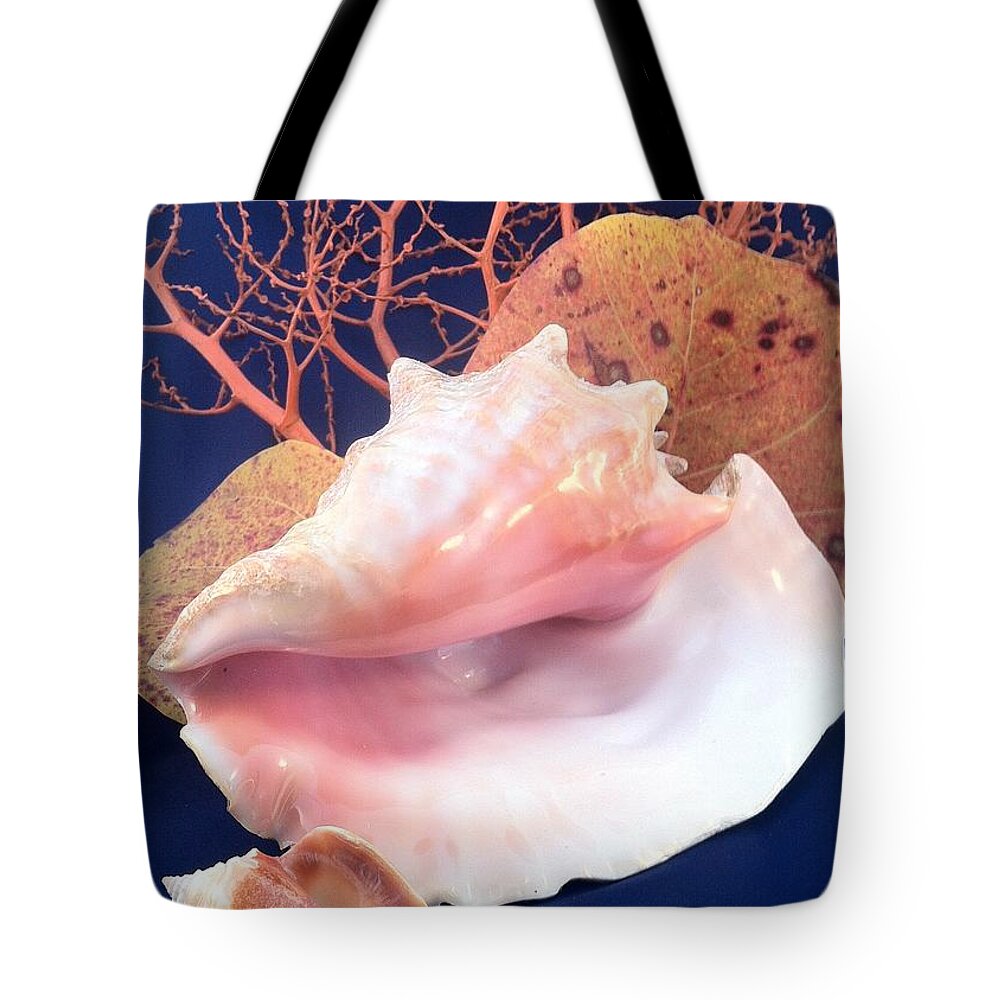 Conch Tote Bag featuring the photograph Conch Still Life by Barbie Corbett-Newmin
