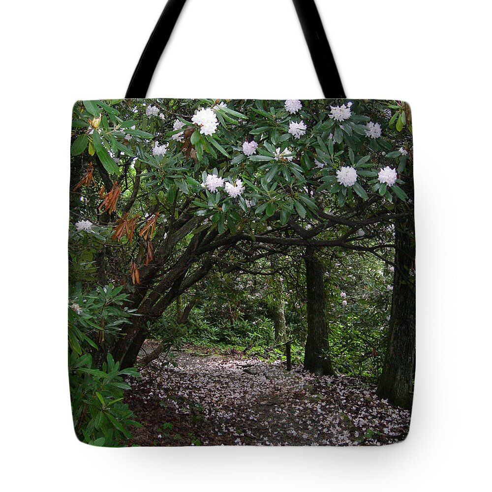 Cone Manor Tote Bag featuring the photograph Cone Manor Trail by Deborah Ferree