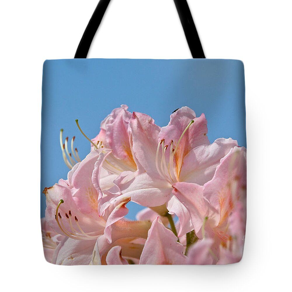 Flower Tote Bag featuring the photograph Confectioners Pink by Susan Herber