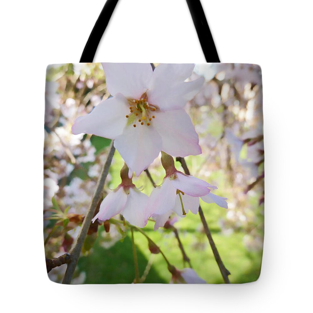 Blossom Tote Bag featuring the photograph Conjunction by Steve Taylor