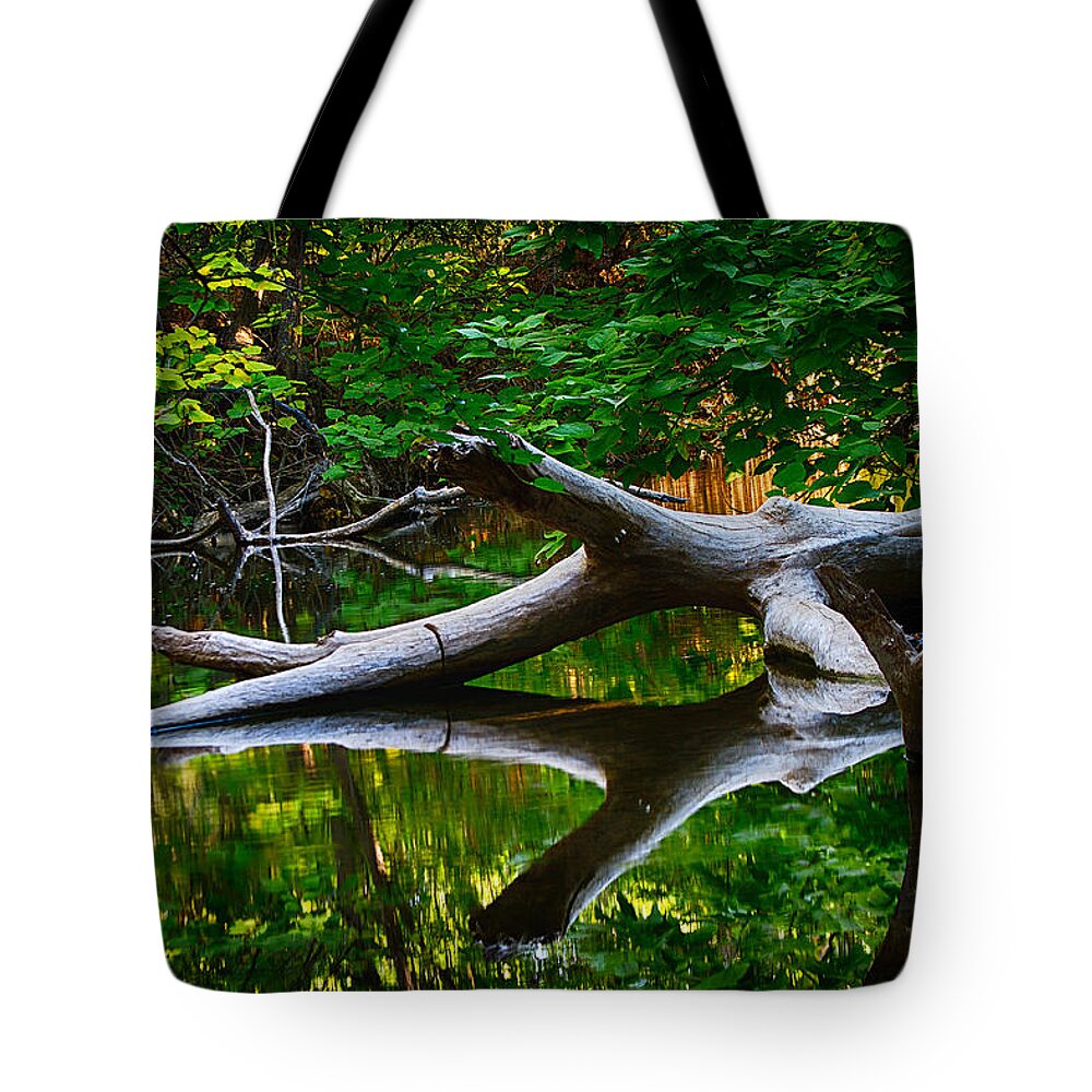Bidwell Tote Bag featuring the photograph Contemplation by Robert Woodward