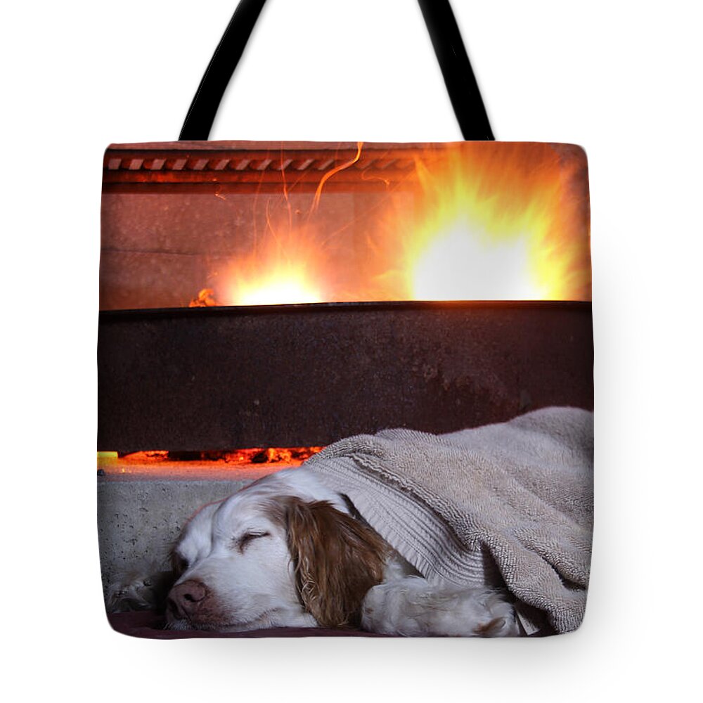 Contentment Tote Bag featuring the photograph Contentment by Jemmy Archer