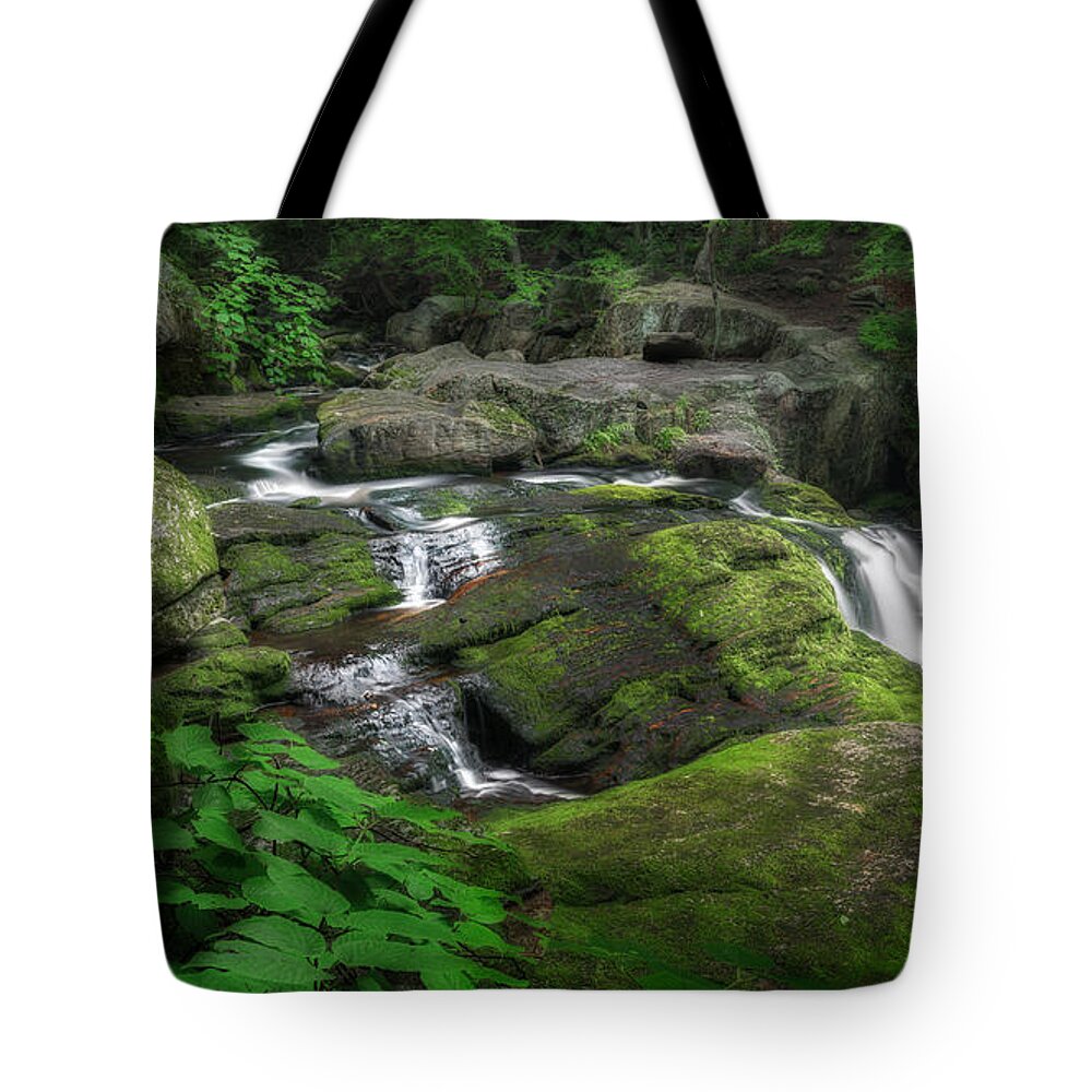 Forest Landscape Tote Bag featuring the photograph Cool Mountain Stream by Bill Wakeley