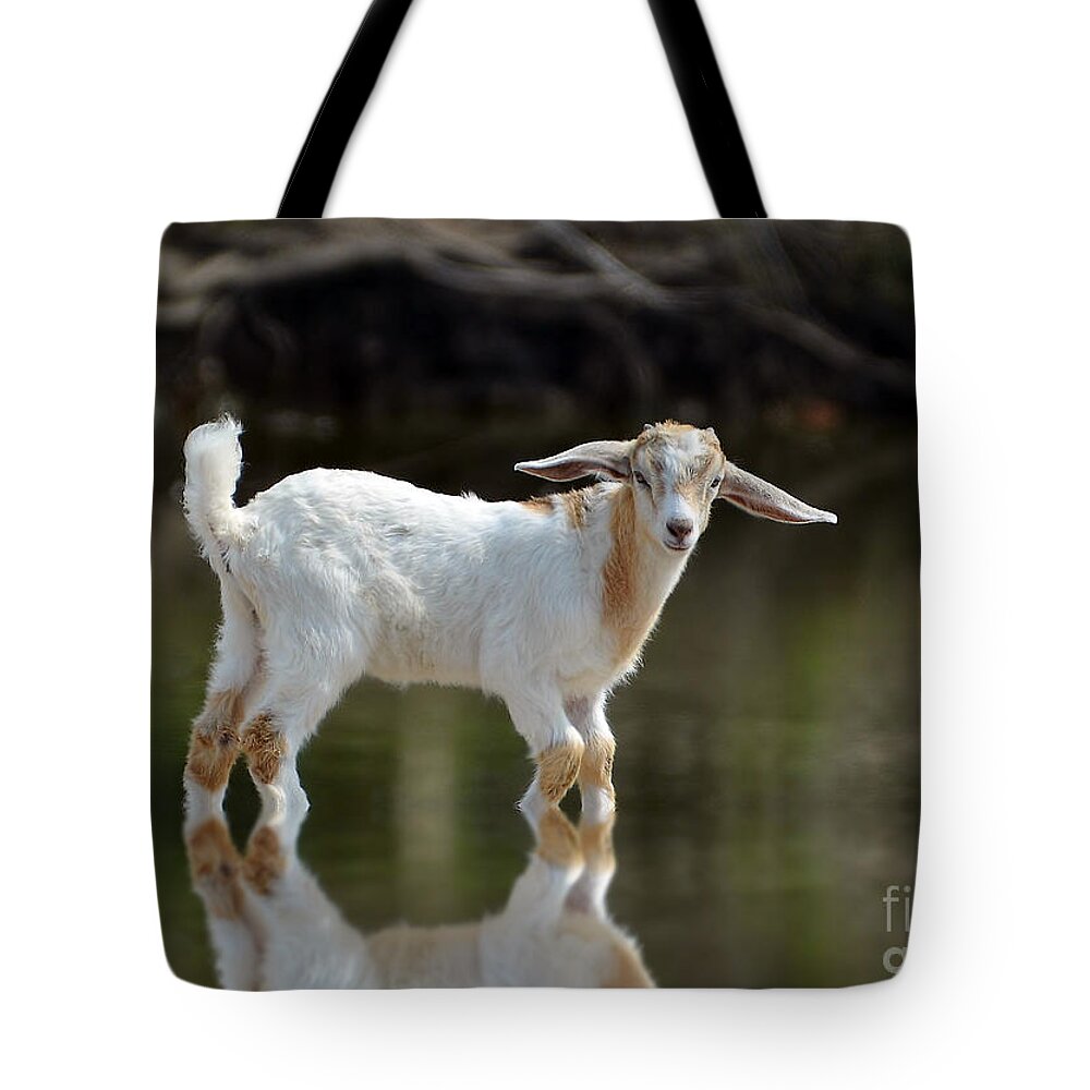 Goat Tote Bag featuring the photograph Cooling Down In A Pond by Kathy Baccari