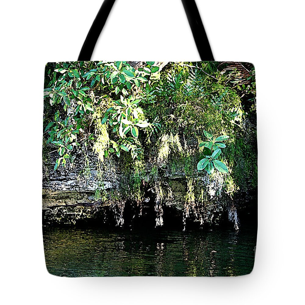 Coral Tote Bag featuring the photograph Coral Bluffs by Janis Lee Colon