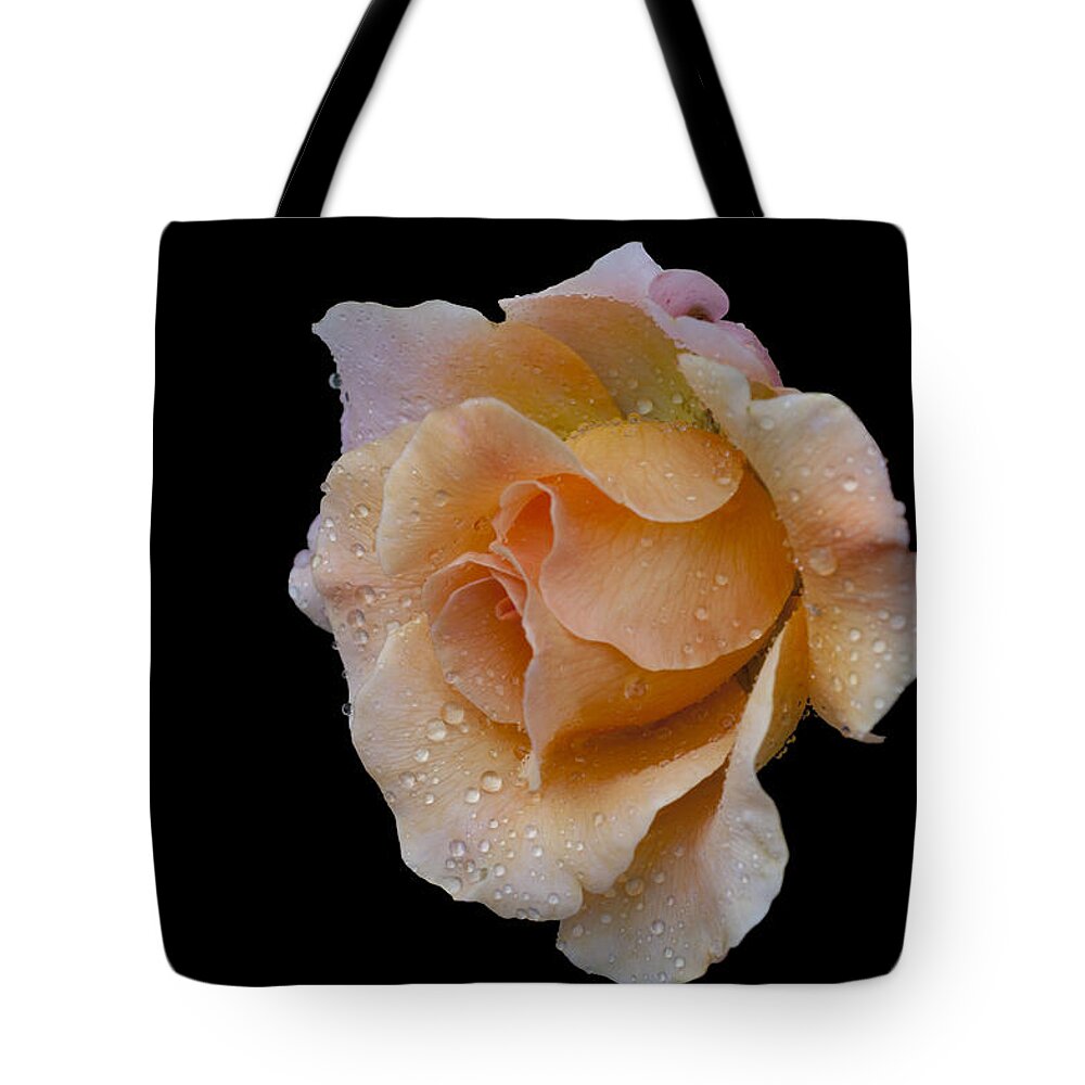 Rose Tote Bag featuring the photograph Coral Cutie by Doug Norkum