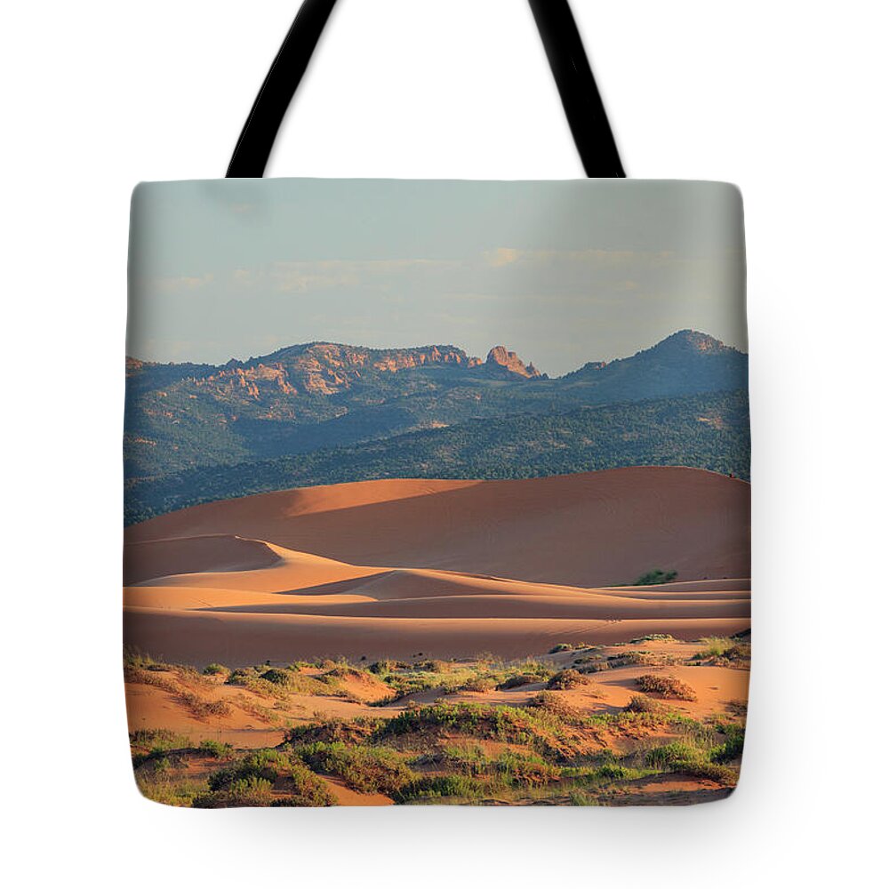Coral Pink Sand Dunes State Park Tote Bags