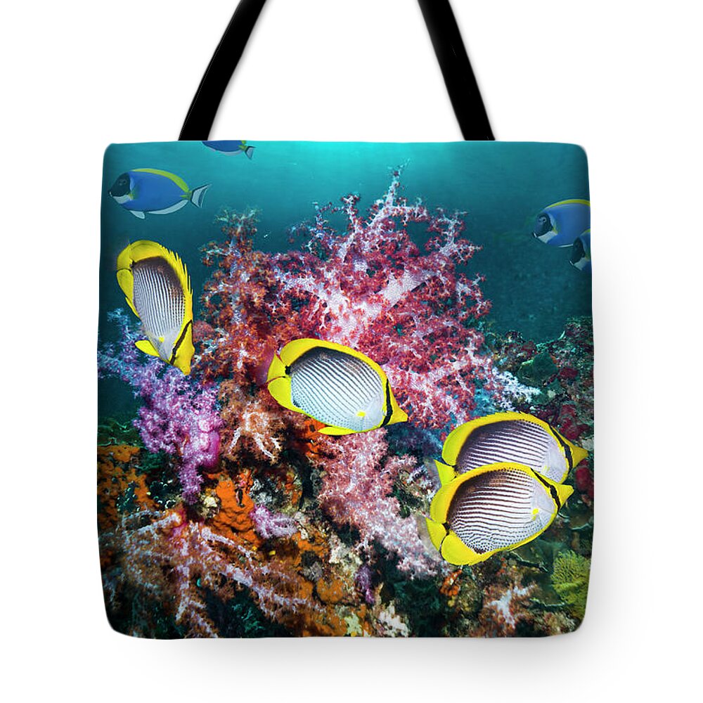 Tranquility Tote Bag featuring the photograph Coral Reef Scenery by Georgette Douwma