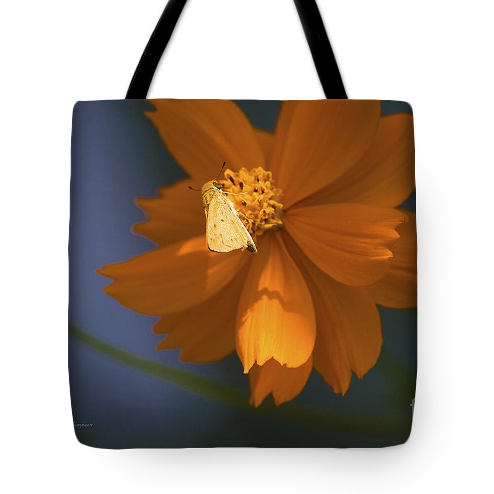 Coreopsis Tote Bag featuring the photograph Coreopsis by Richard J Thompson 