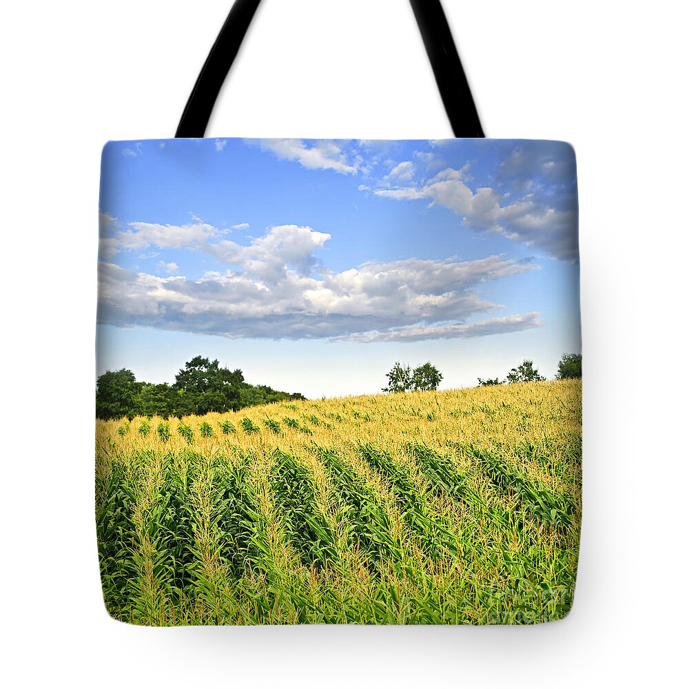 Agriculture Tote Bag featuring the photograph Corn field 1 by Elena Elisseeva