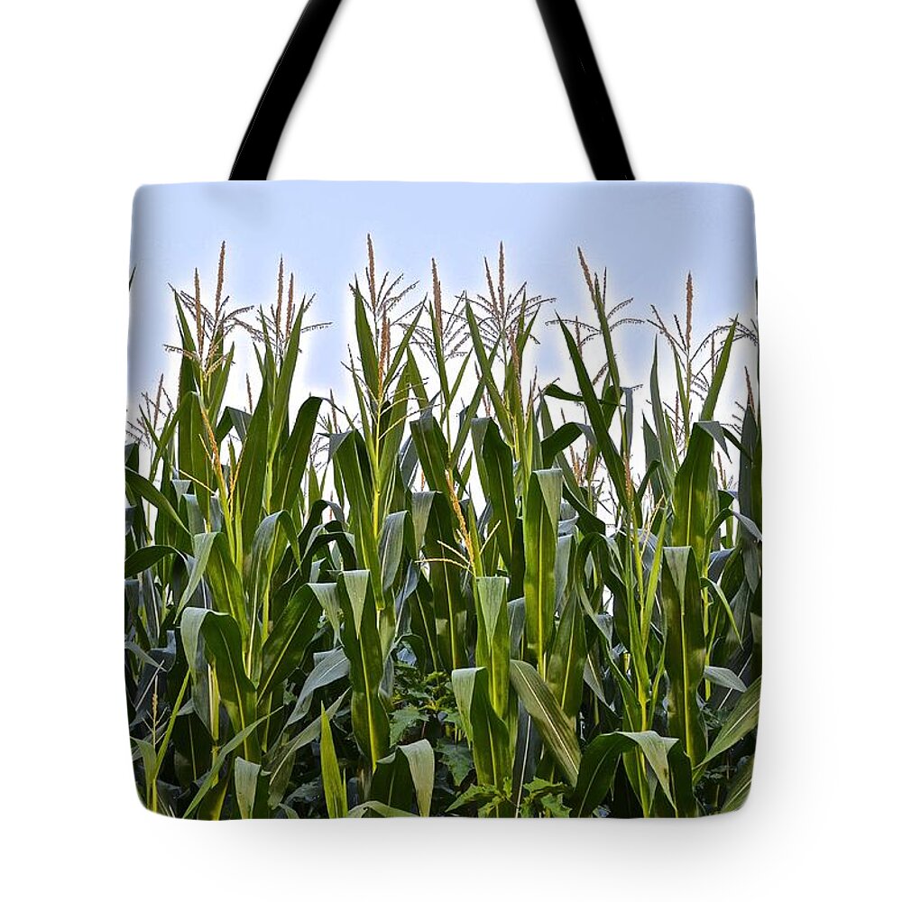 Corn Tote Bag featuring the photograph Cornfield Close Up by Frozen in Time Fine Art Photography