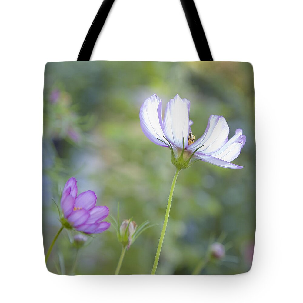 Floral Tote Bag featuring the photograph Cosmo Lite by Theresa Tahara