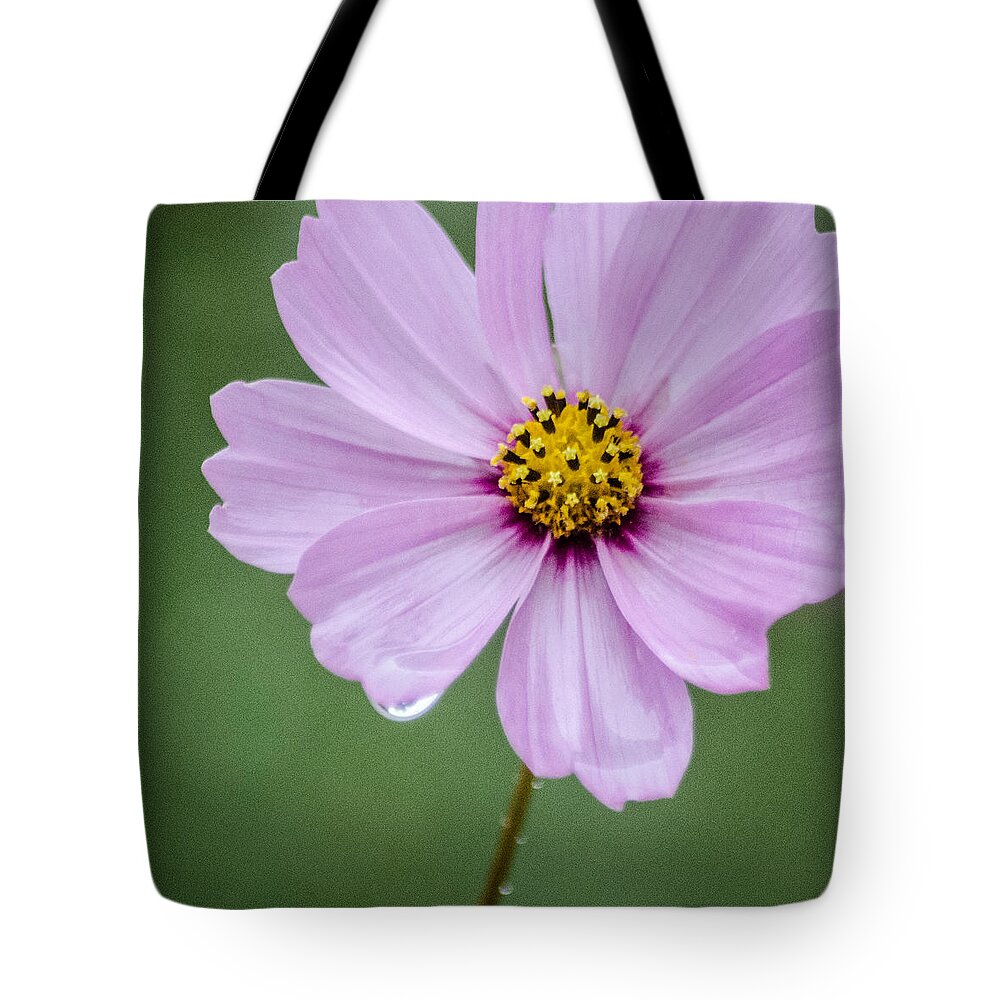 Dakota Tote Bag featuring the photograph Cosmos Raindrop by Greni Graph