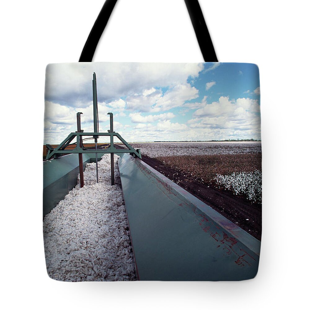 Scenics Tote Bag featuring the photograph Cotton Harvesting by Ooyoo