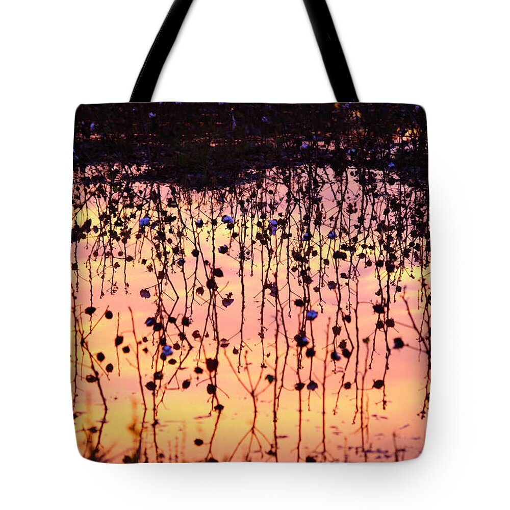Cotton Tote Bag featuring the photograph Cotton Reflections by Marty Fancy