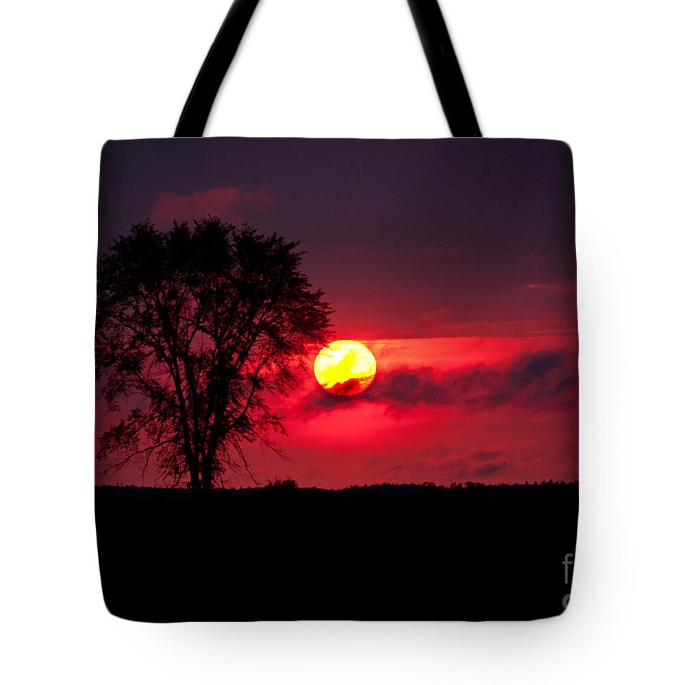 Sunsets Tote Bag featuring the photograph Could be in Africa by Cheryl Baxter