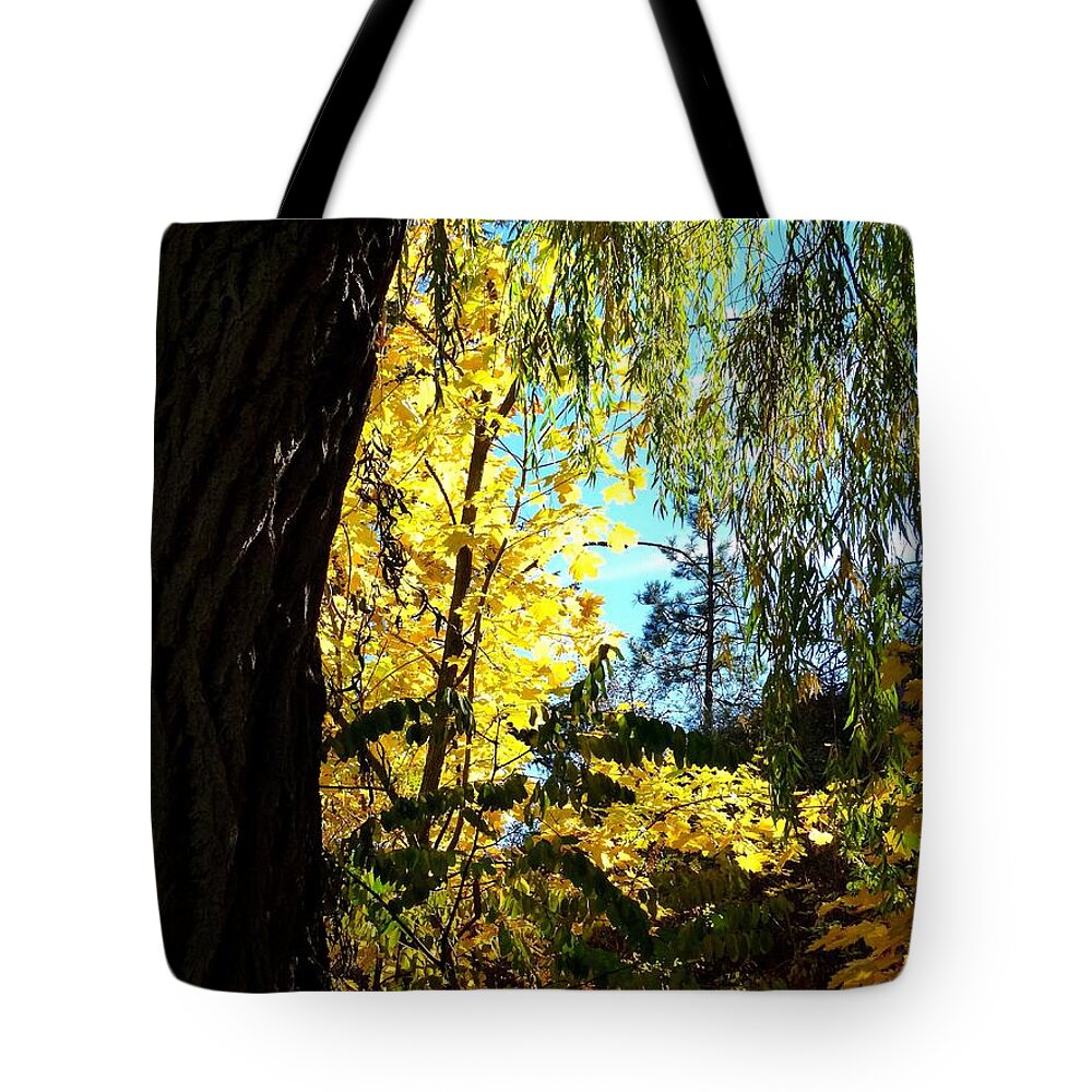 Autumn Tote Bag featuring the photograph Country Color 29 by Will Borden