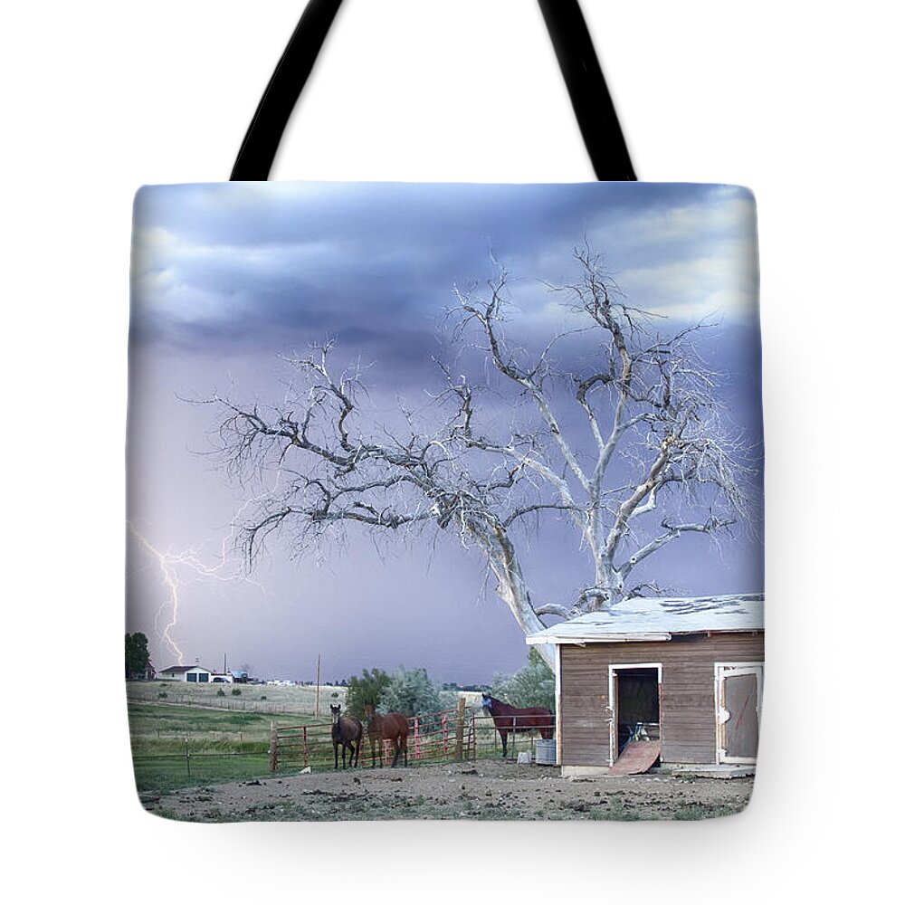Country Tote Bag featuring the photograph Country Horses Lightning Storm CO  by James BO Insogna