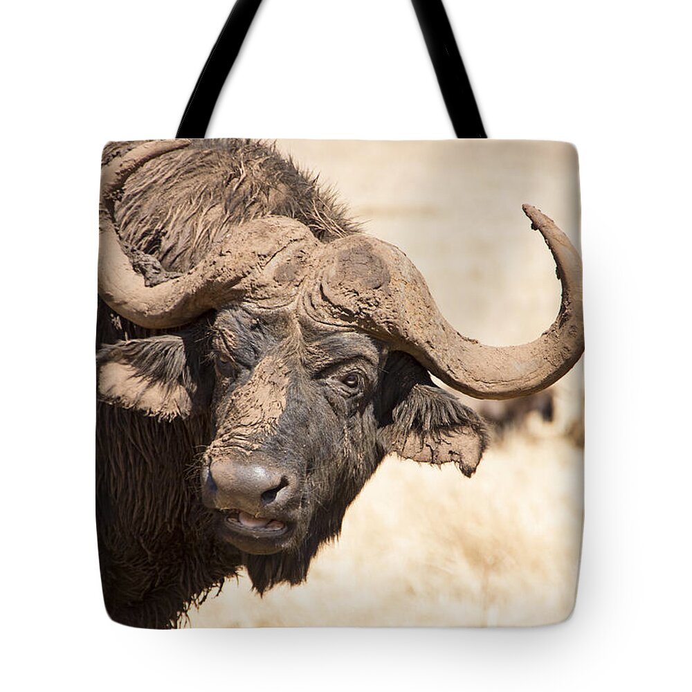 African Buffalo Tote Bag featuring the photograph Covered in Mud V4 by Douglas Barnard