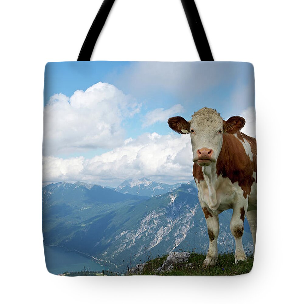 Cow Tote Bag featuring the photograph Cow In The Mountains by Ra-photos