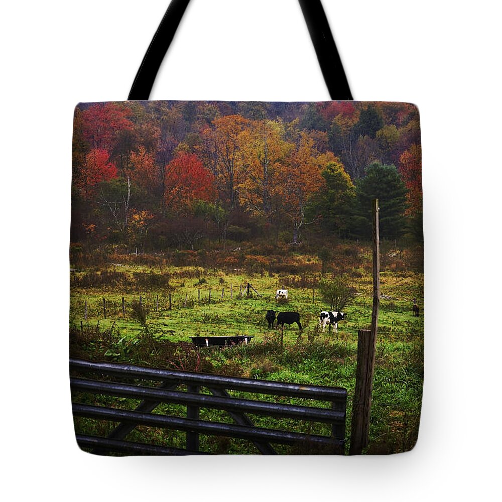 Cows Tote Bag featuring the photograph Cow Pasture in Autumn by Debra Fedchin