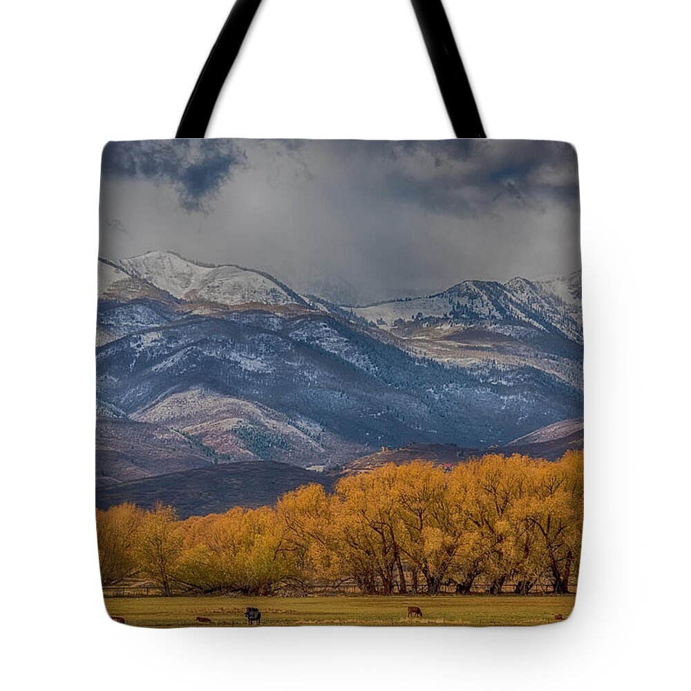 Pasture Tote Bag featuring the photograph Cows Trees Mountains and Clouds by Paul Freidlund