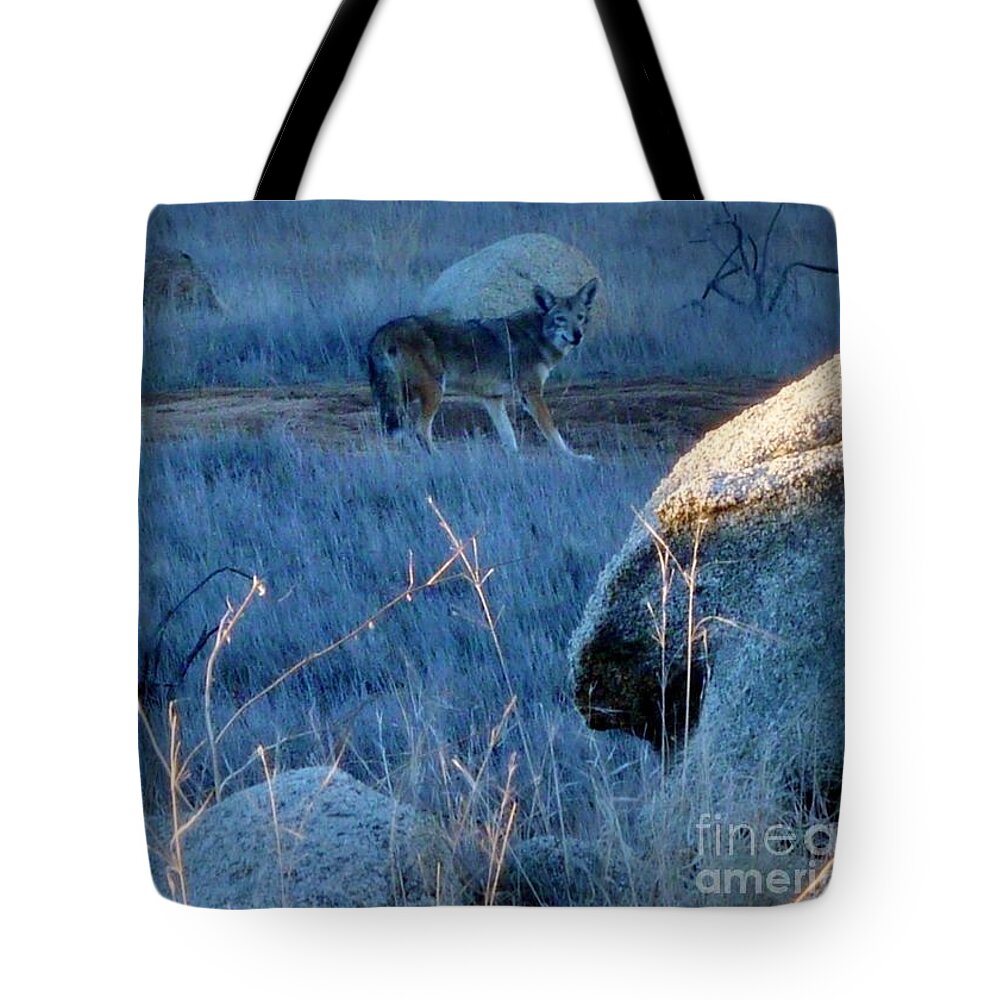 Coyote Wild Tote Bag featuring the photograph Coyote Wild by Susan Garren
