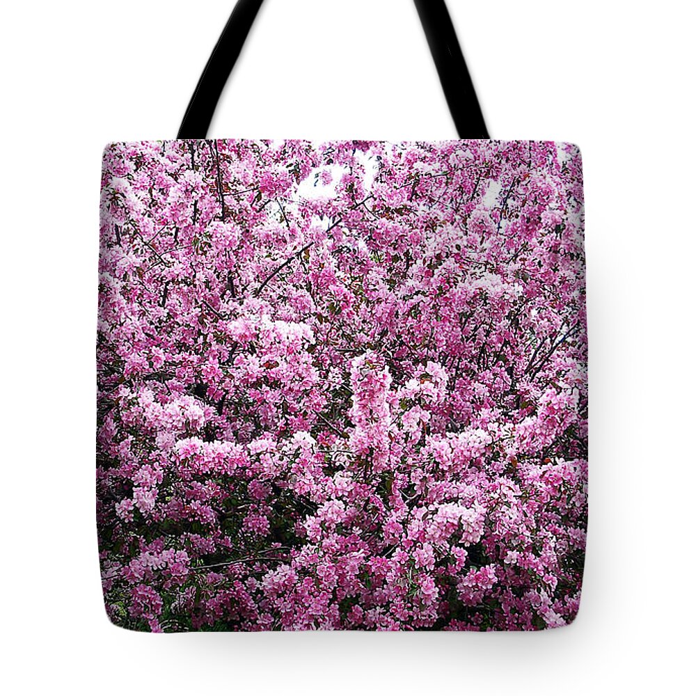 Crab Apple Tree Tote Bag featuring the photograph Crab Apple Tree by Aimee L Maher ALM GALLERY