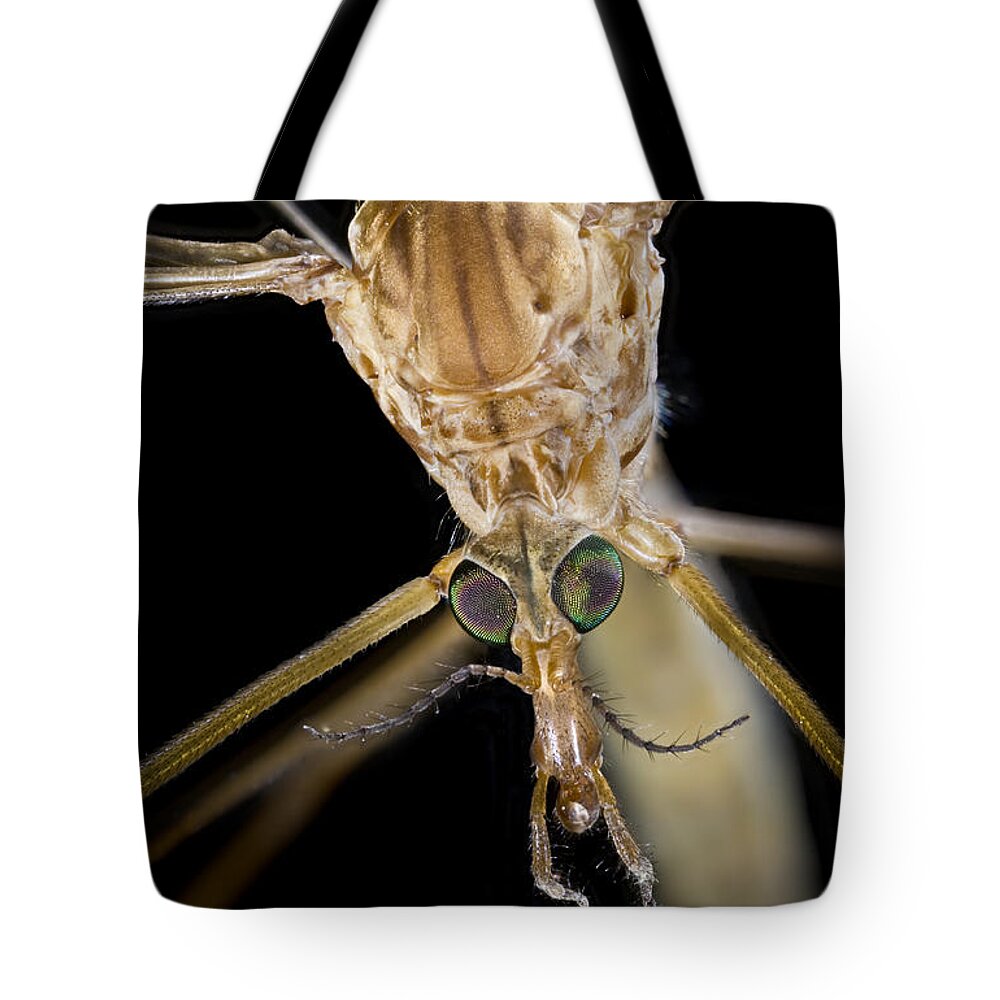 Gallinippers Tote Bag featuring the photograph Crane Fly Face by Phil Degginger