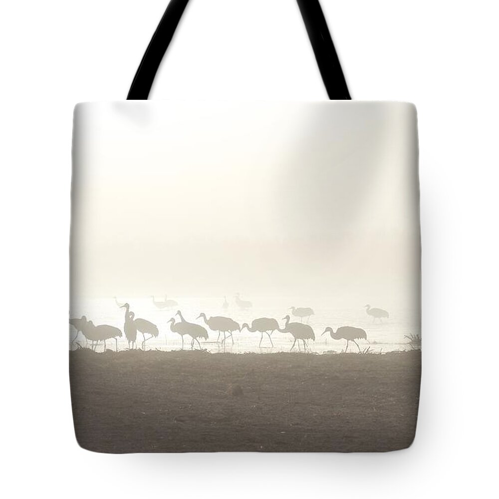 Crane Tote Bag featuring the photograph Cranes in the Mist by Ruth Jolly