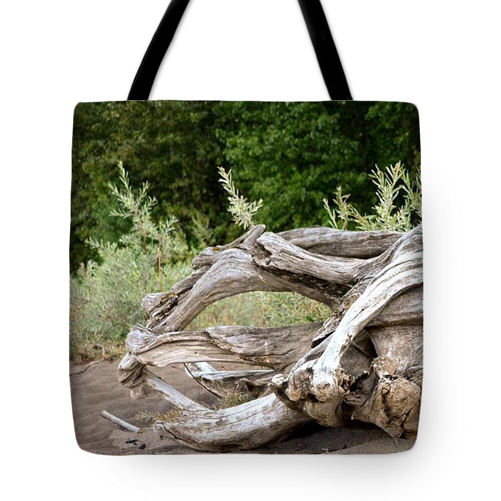 Driftwood Tote Bag featuring the photograph Cranial Drift by Laureen Murtha Menzl