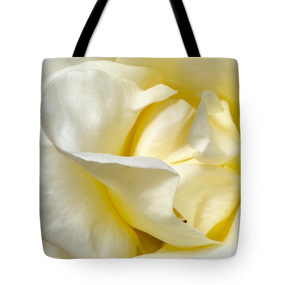 Rose Tote Bag featuring the photograph Creamy Rose by Georgette Grossman