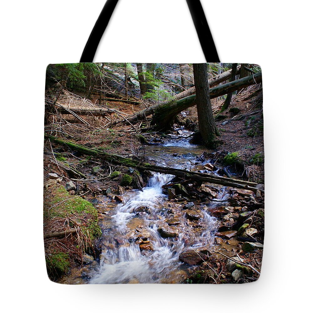 Creek Tote Bag featuring the photograph Creek at the Cedar Grove by Ben Upham III
