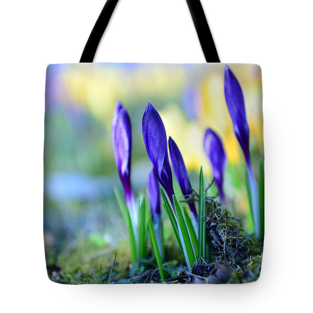 Bokeh Tote Bag featuring the photograph Crocus by Hannes Cmarits
