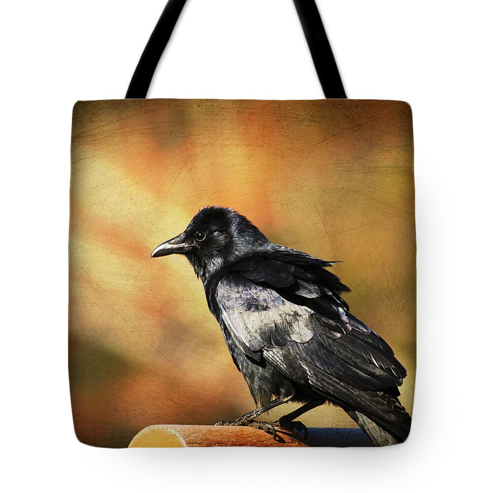 Crows Days Tote Bag featuring the photograph Crow Days by Karol Livote