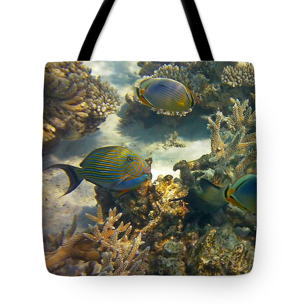 Tropical Fish Tote Bag featuring the photograph Cruisin by Corinne Rhode