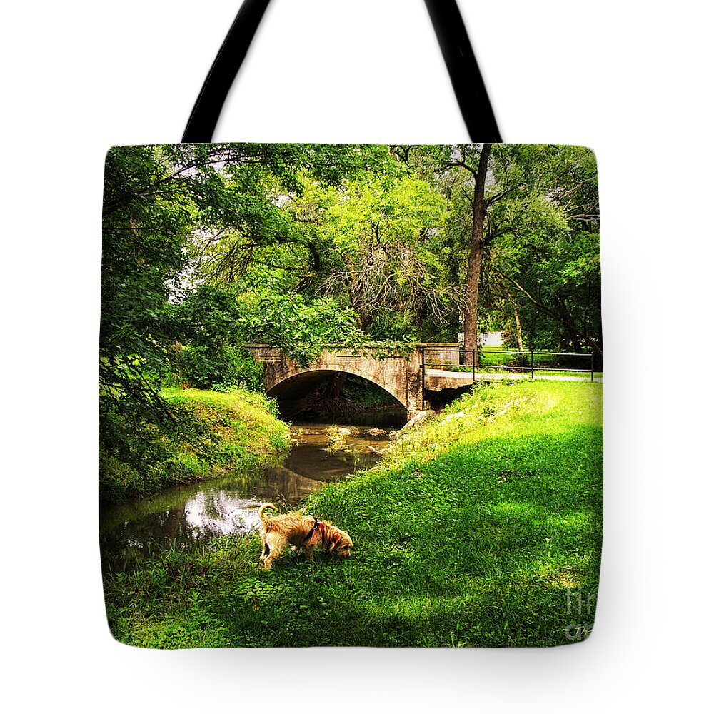 Il Tote Bag featuring the photograph Cruz at Deer Creek Bridge Dwight IL by Thomas Woolworth