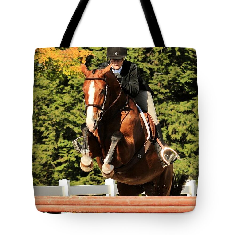 Horse Tote Bag featuring the photograph Csjt-hunter30 by Janice Byer